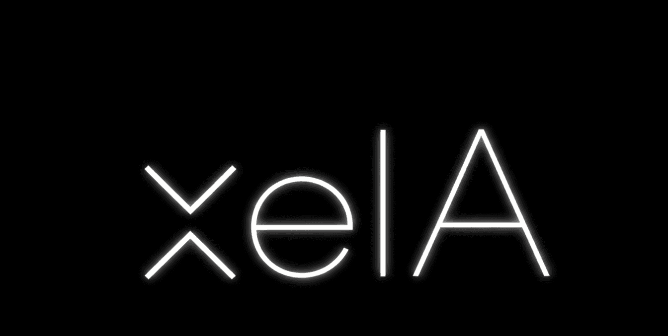 Xela: Teaching AI to Think Like a Statistician